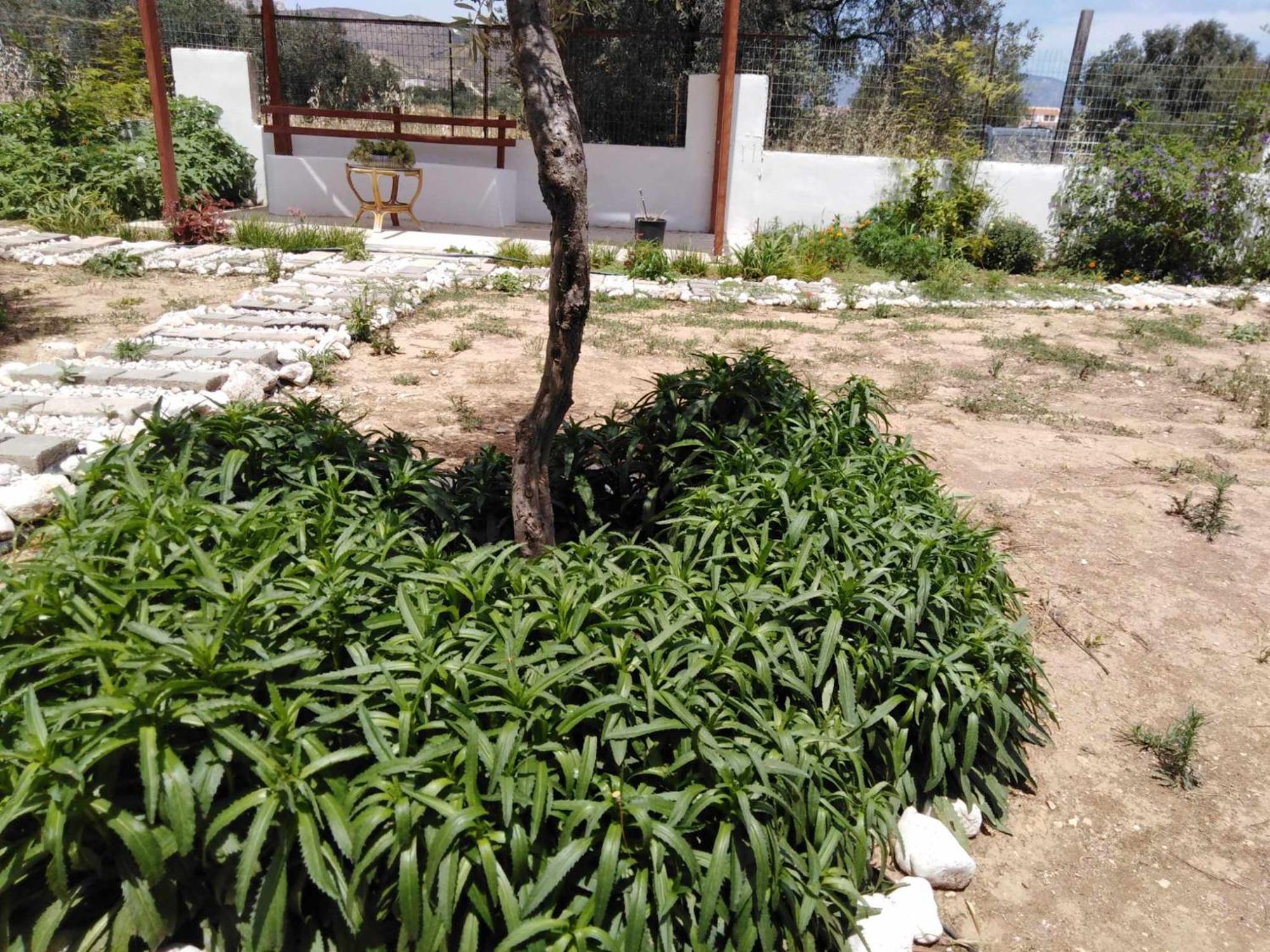 Ferienwohnung Alexadra'S House Κάτω Αλμυρή Exterior foto
